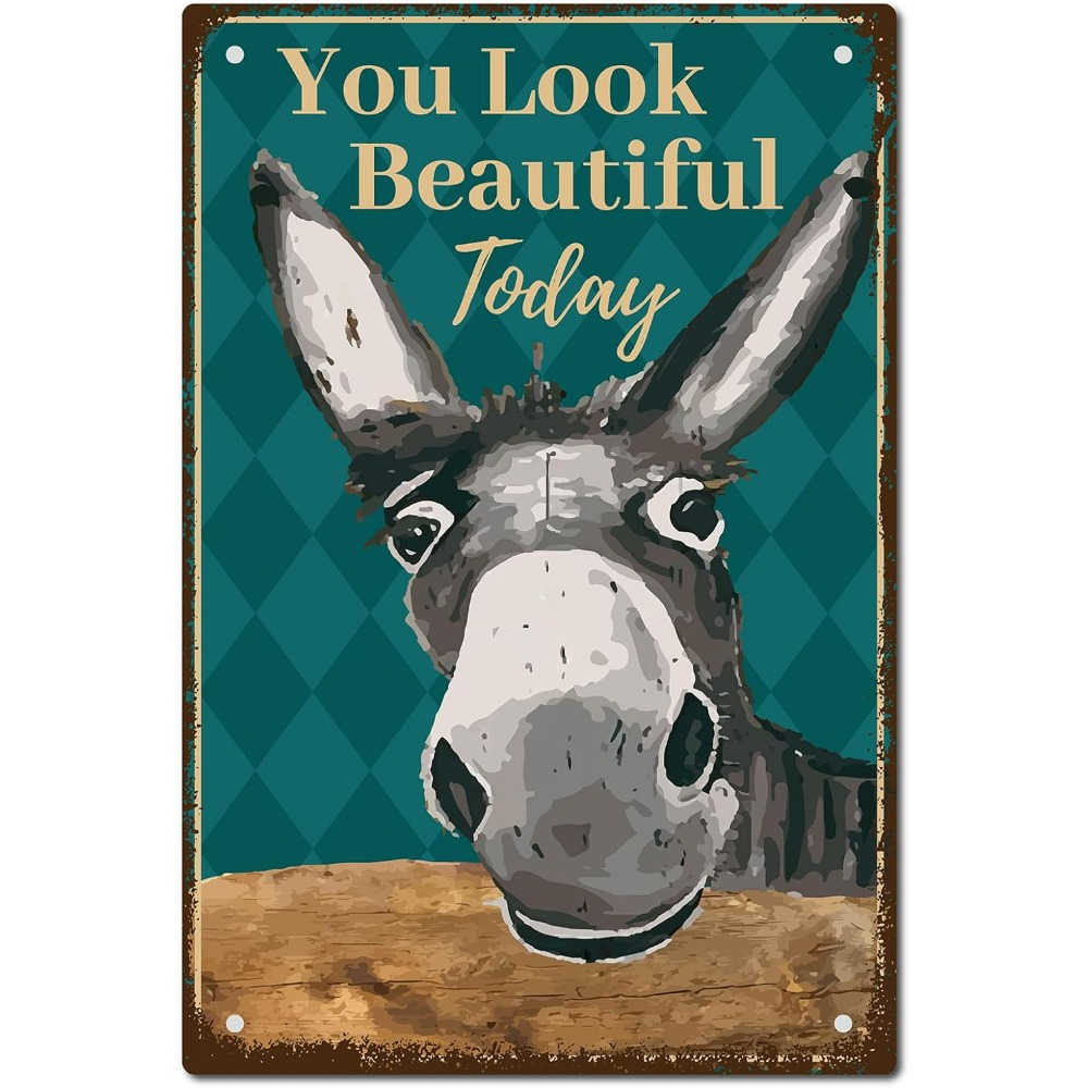 Donkey Vintage Tin Signs You L - Men Accessories Look 评论和价格