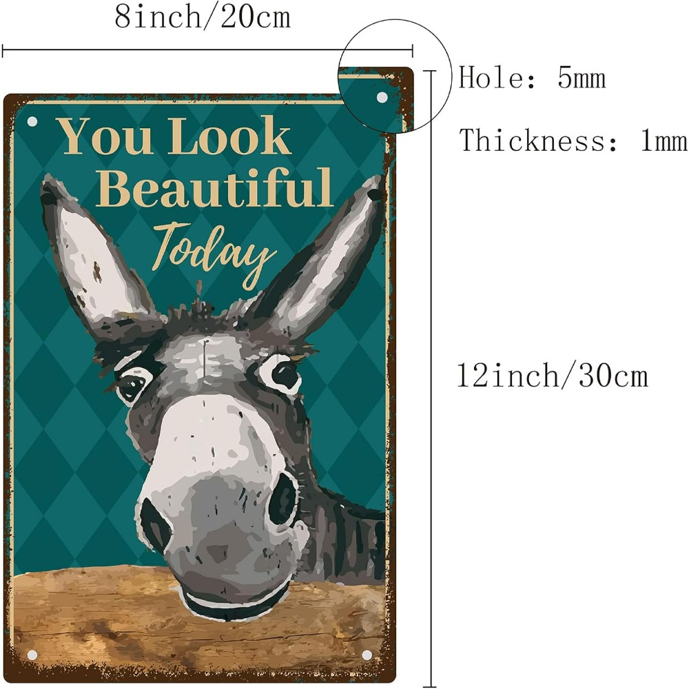 Donkey Vintage Tin Signs You L - Men Accessories Look 评论和价格